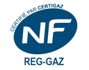 DETENDEUR B6 N /21MB 6M3/H EQ AVEC SECU F JS15/ F JPC20 NF404 8450123 REG101